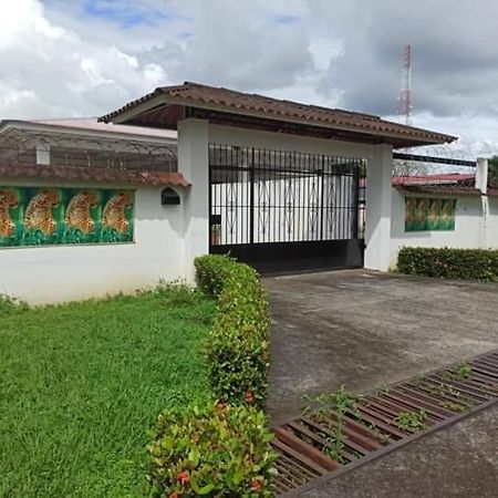 Hostal My House Your House David Exterior photo