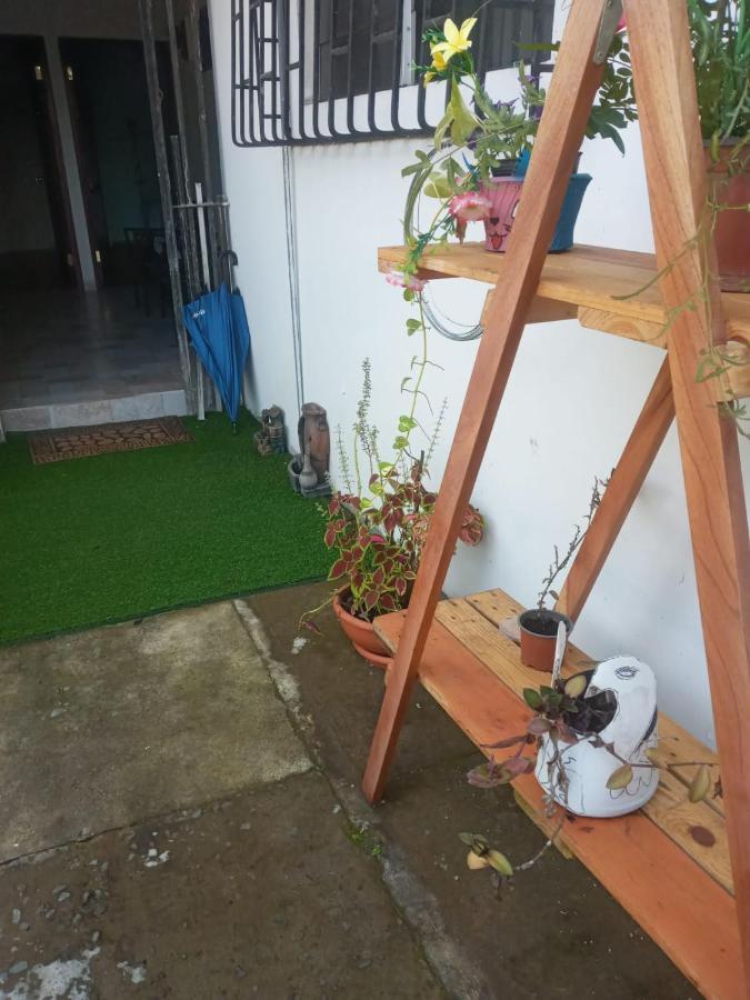 Hostal My House Your House David Exterior photo